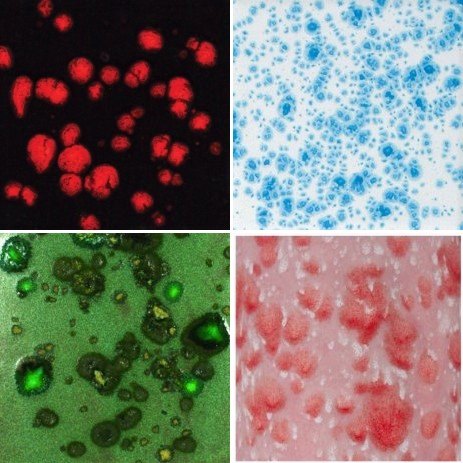 Mayco Mayco Jungle Gems & Crystalite Glazes
