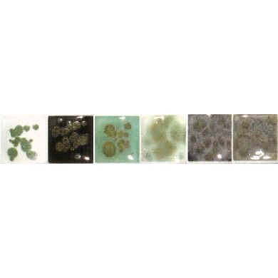 Reactive Green Spectrum Dry Crystals