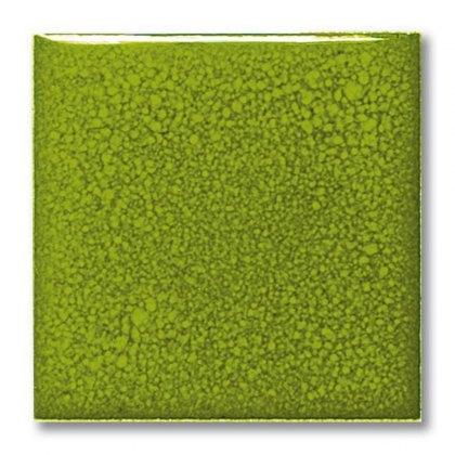 TerraColor Lime Gloss Earthenware Brush On Glaze FE5030