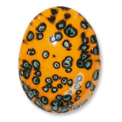TerraColor Bird Of Paradise Earthenware Brush On Glaze FE5252