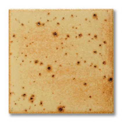 TerraColor Oatmeal Speckled Earthenware Brush On Glaze FE5405