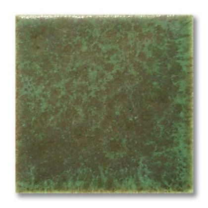 TerraColor Alligator Matt Earthenware Brush On Glaze FE5409