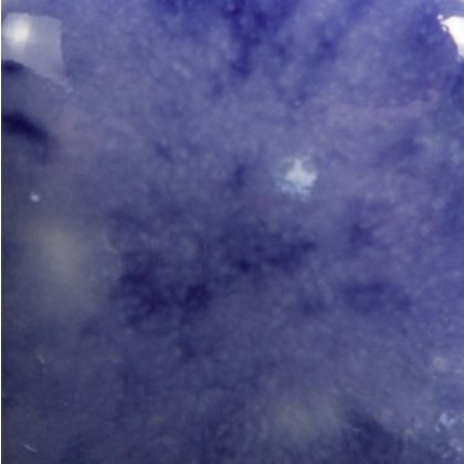 Plum Jelly Mayco Crystalite