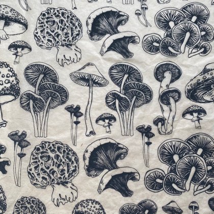 Mushrooms Natural Underglaze Transfer Sheet Mushrooms Natural Underglaze Transfer Sheet