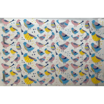 Birds Underglaze Transfer Sheet - Multi Coloured Birds Underglaze Transfer Sheet - Multi Coloured