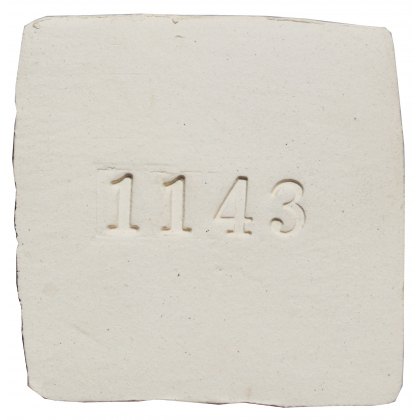 Draycott White Stoneware Clay 1143
