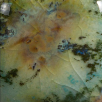 Mountain Moss Mayco Jungle Gem