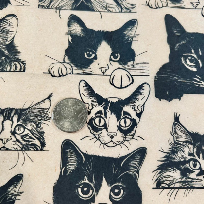 Zany Cats Underglaze Transfer Sheet Zany Cats Underglaze Transfer Sheet
