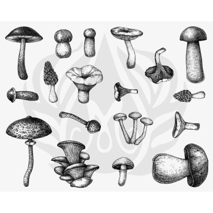 Designer Silkscreen Mushrooms