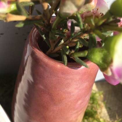 Rose Marble Earthenware Glaze 9530