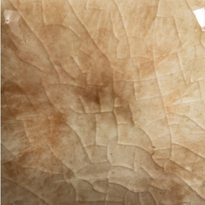 Yadro Print Mayco Jungle Gem