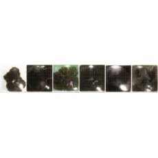 Pewter Spectrum Dry Crystals