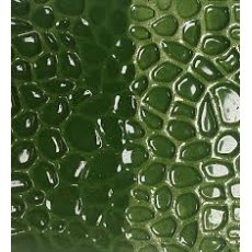 Mid Green Earthenware Glaze Powder EB11P
