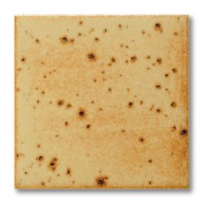 TerraColor Oatmeal Speckled Earthenware Brush On Glaze FE5405
