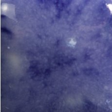 Plum Jelly Mayco Crystalite