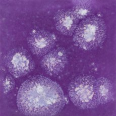 Grape Divine Mayco Crystalite
