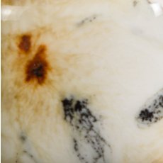 Cheetah Mayco Crystalite
