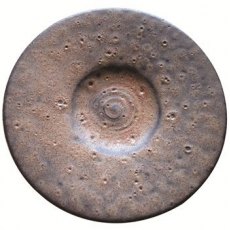 Nutmeg Spectrum Shino Glaze Nutmeg Spectrum Shino Glaze