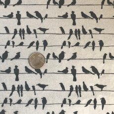 Birds On A Wire Underglaze Transfer Sheet
