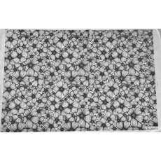 Apple Blossom Underglaze Transfer Sheet