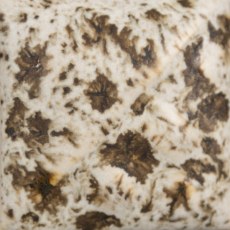 Mayco Winter Wood Stoneware Powder