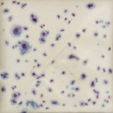 Indigo Rain Mayco Stoneware Glaze