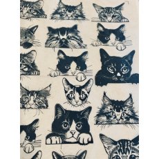 Zany Cats Underglaze Transfer Sheet