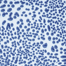 Dark Blue Amaco Crawls Glaze