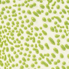 Lime Amaco Crawls Glaze