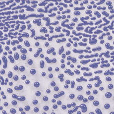 Purple Amaco Crawls Glaze
