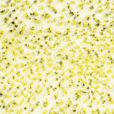 Speckled Yellow Amaco Crawls Glaze