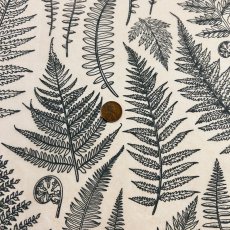 Jungle Ferns Underglaze Transfer Sheet