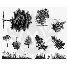 Designer Silkscreen Botanical Trees & Grass