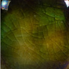Woodland Fantasy Mayco Jungle Gem