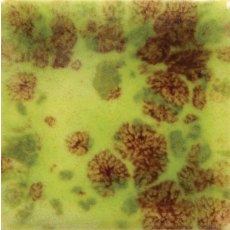 Pistachio Mayco Jungle Gem