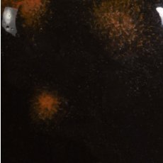 Black Opal Mayco Jungle Gem