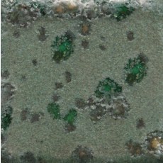 Alligator Mayco Jungle Gem