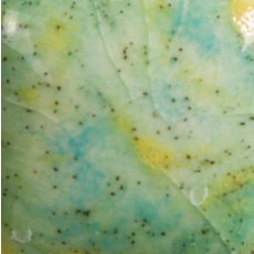 Meadow Mayco Jungle Gem