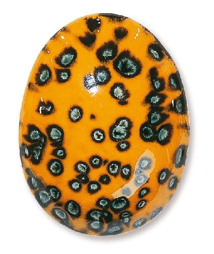 TerraColor Bird Of Paradise Earthenware Brush On Glaze FE5252 TerraColor Bird Of Paradise Earthenware Brush On Glaze FE5252