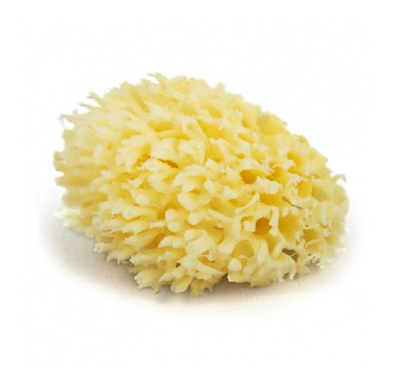 Natural Sponge Off Cuts Natural Sponge Off Cuts