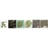 Reactive Green Spectrum Dry Crystals