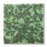 TerraColor Crocodile Green Earthenware Brush On Glaze FE5125