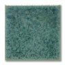 TerraColor Velvet Green Earthenware Brush On Glaze FE5131
