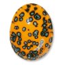 TerraColor Bird Of Paradise Earthenware Brush On Glaze FE5252