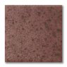 TerraColor Damson Earthenware Brush On Glaze FE5414