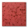 TerraColor Flame Earthenware Brush On Glaze FE5425