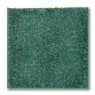 TerraColor Turkish Green Earthenware Brush On Glaze FE5702