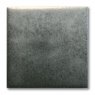 TerraColor Metallic Earthenware Brush On Glaze FE5725