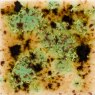 Cappuccino Mint Mayco Crystalite