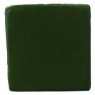 Forest Green Glaze & Body Stain